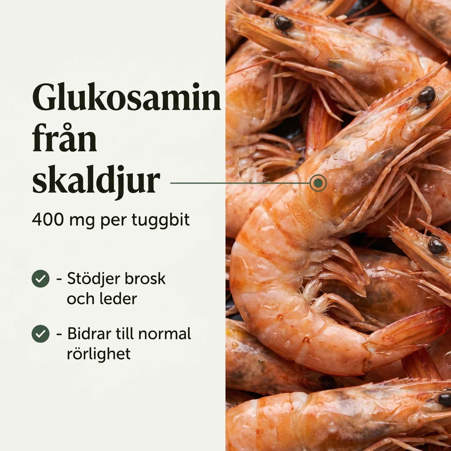 Nordhunden Ledtillskott